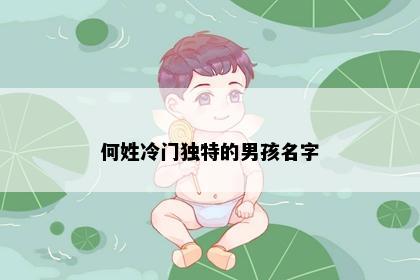 何姓冷门独特的男孩名字